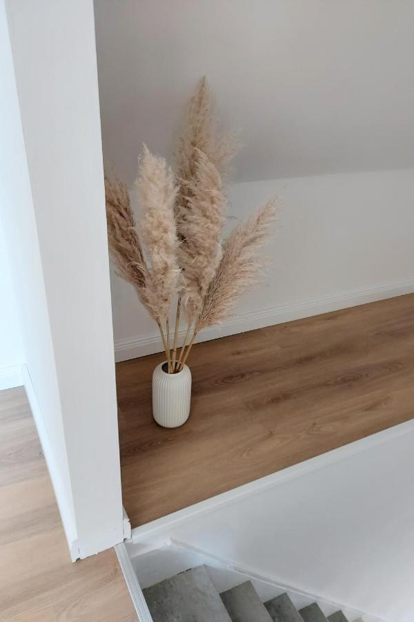Apartamento Ferienhus #2 Nordfriesland Mildstedt Exterior foto